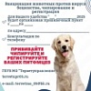 Выездные вакцинации против бешенства домашних животных Выездные вакцинации против бешенства домашних животных
